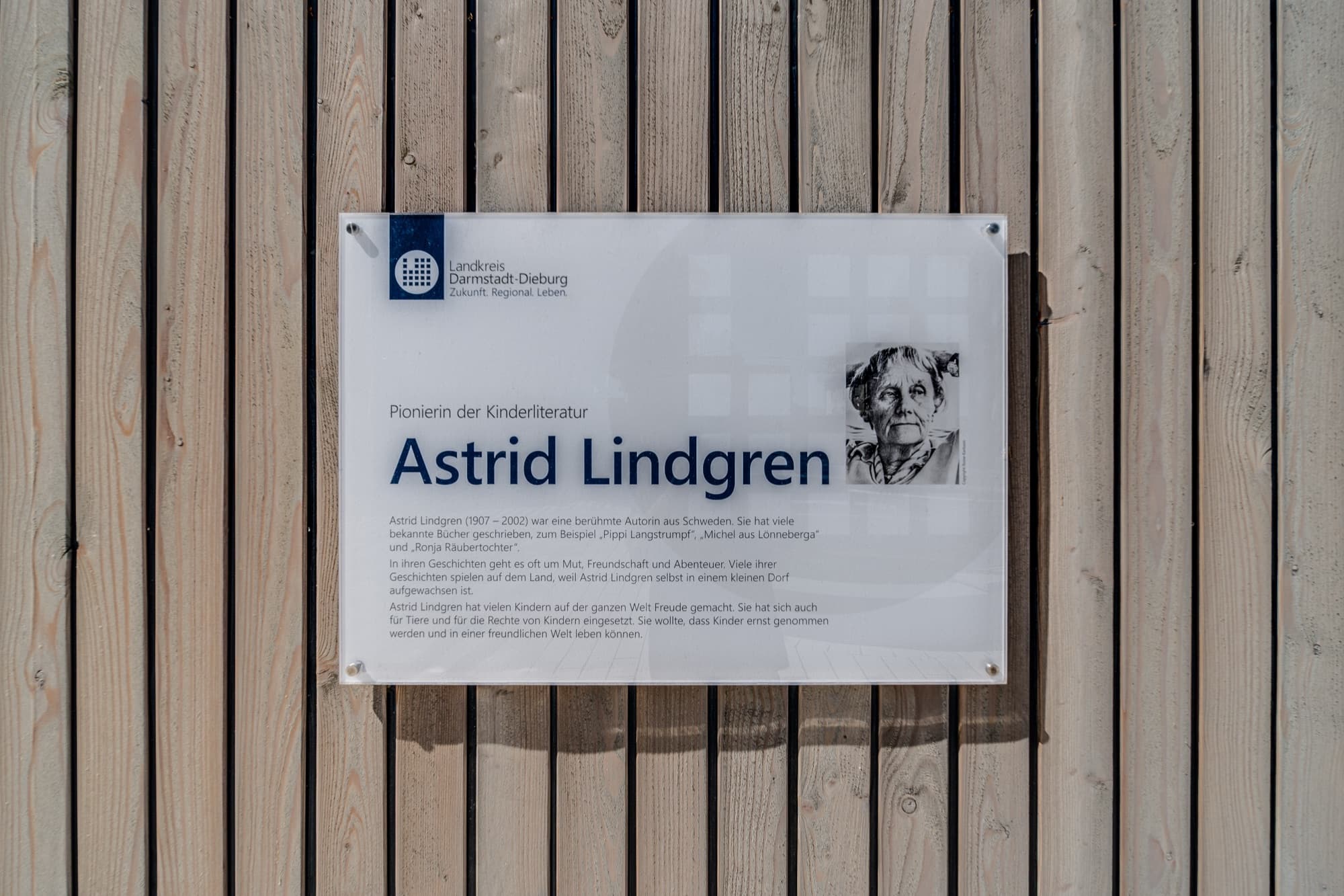 Astrid Lindgren School: acoustic panelling detail