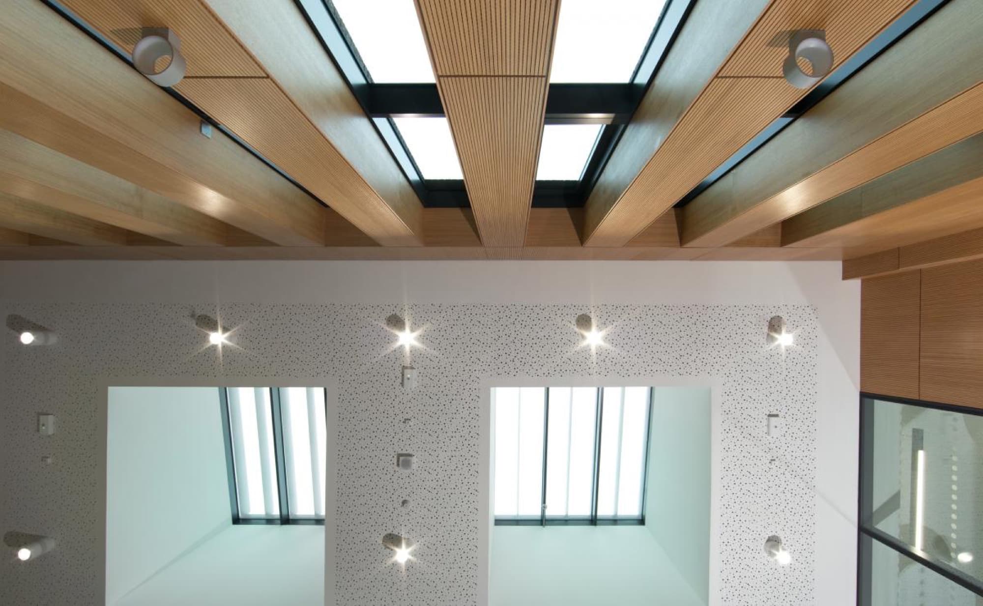 Glucksman Library: acoustic panelling detail