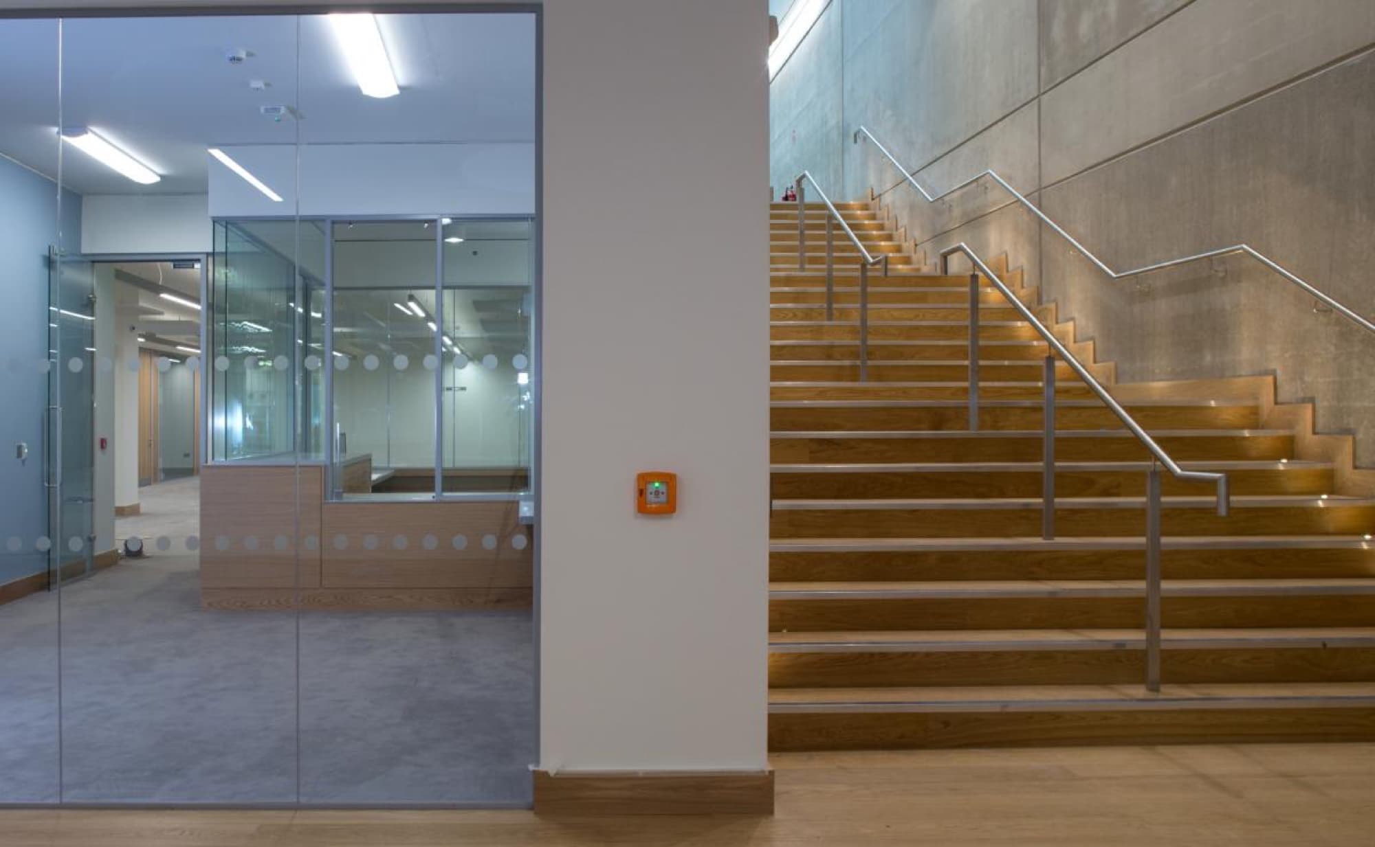 Glucksman Library: acoustic panelling detail