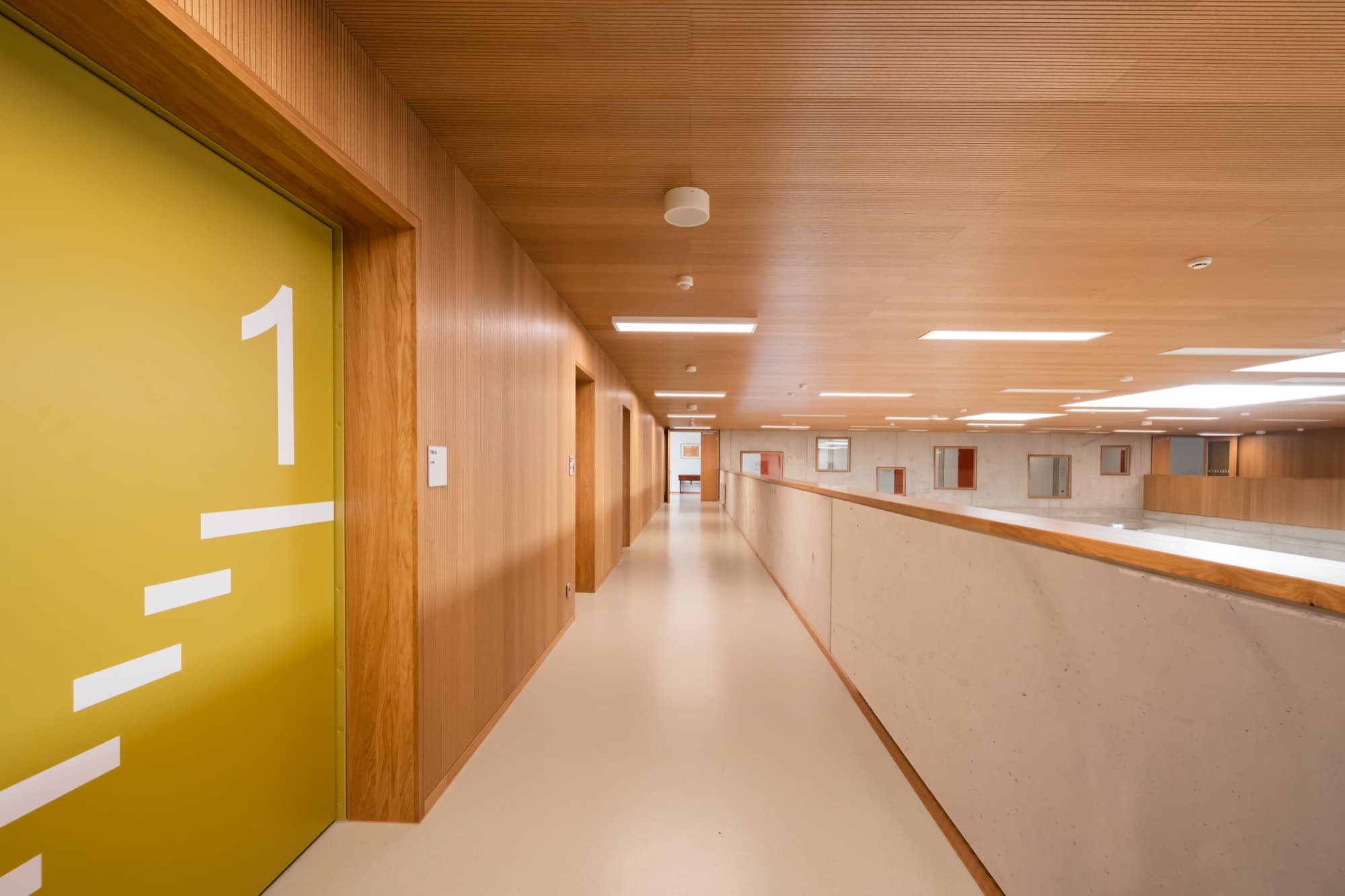 Gustav-Heinemann-Gesamtschule: acoustic panelling detail