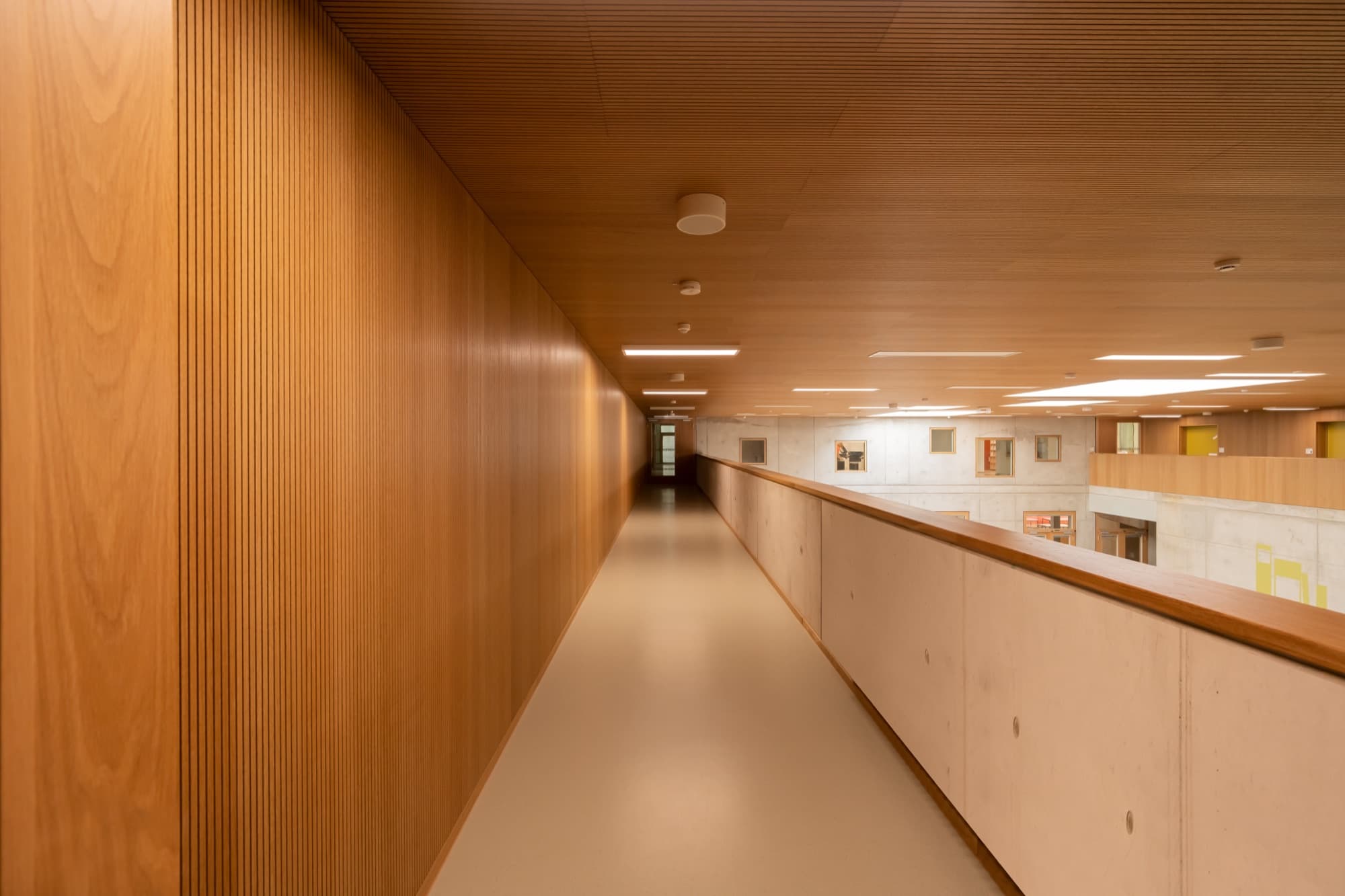 Gustav-Heinemann-Gesamtschule: acoustic panelling detail