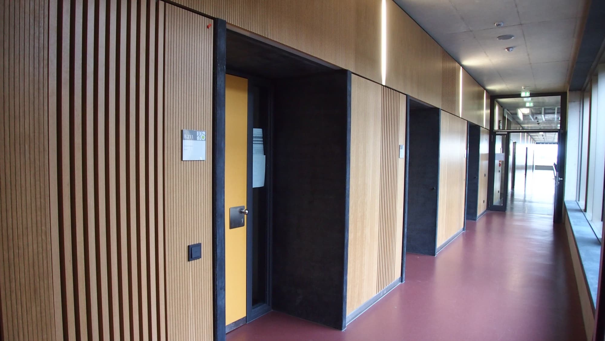 Philipp-Reis-Schule: acoustic panelling detail
